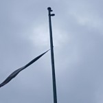 Tricolore reggio (2)