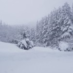 burian-27-febbraio-2018-neve-sila-5-560x420