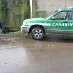 carabinieri forestali