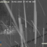neve (1)