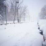 neve (8)