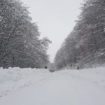 neve-sila-15-febbraio-2018-5-560x420