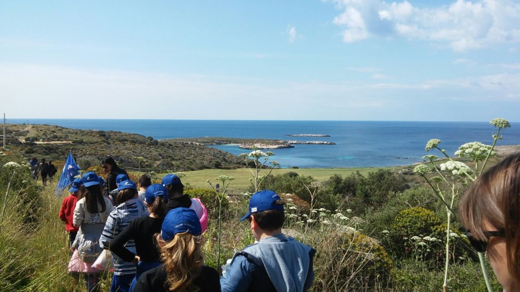 mare vivo