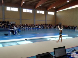 campionato regionale ginnastica