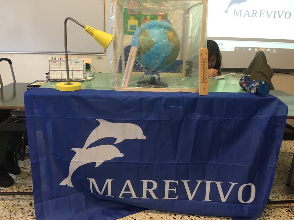 mare vivo