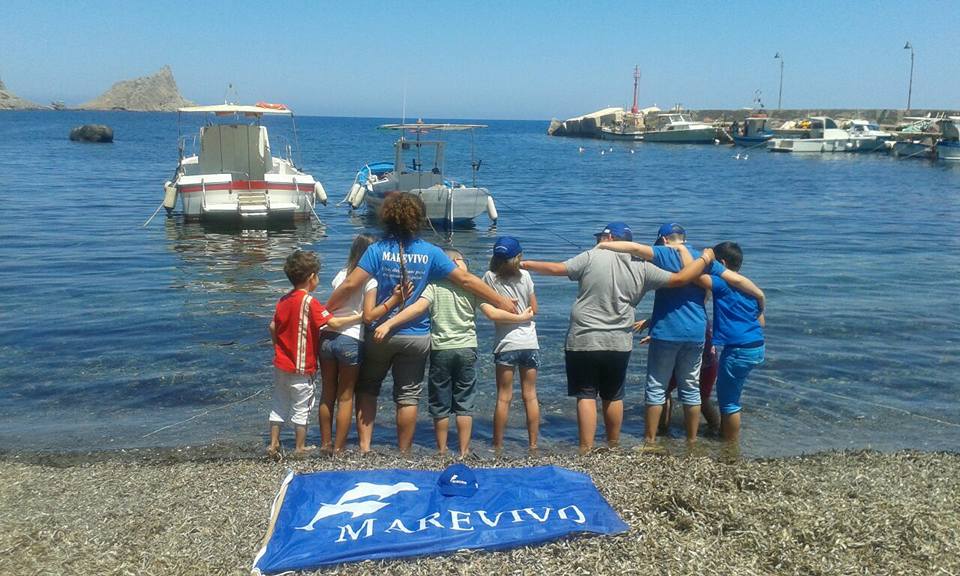 mare vivo