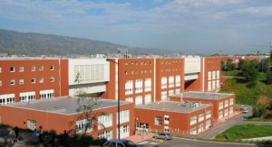 unical cosenza