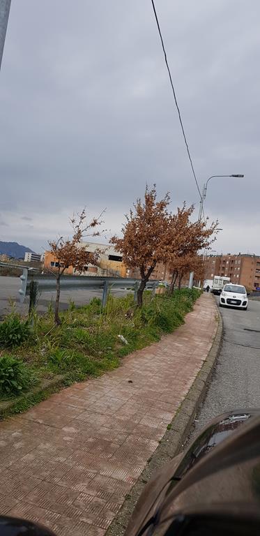 via lombardi