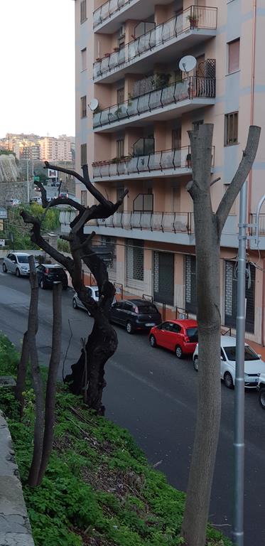 via nuova