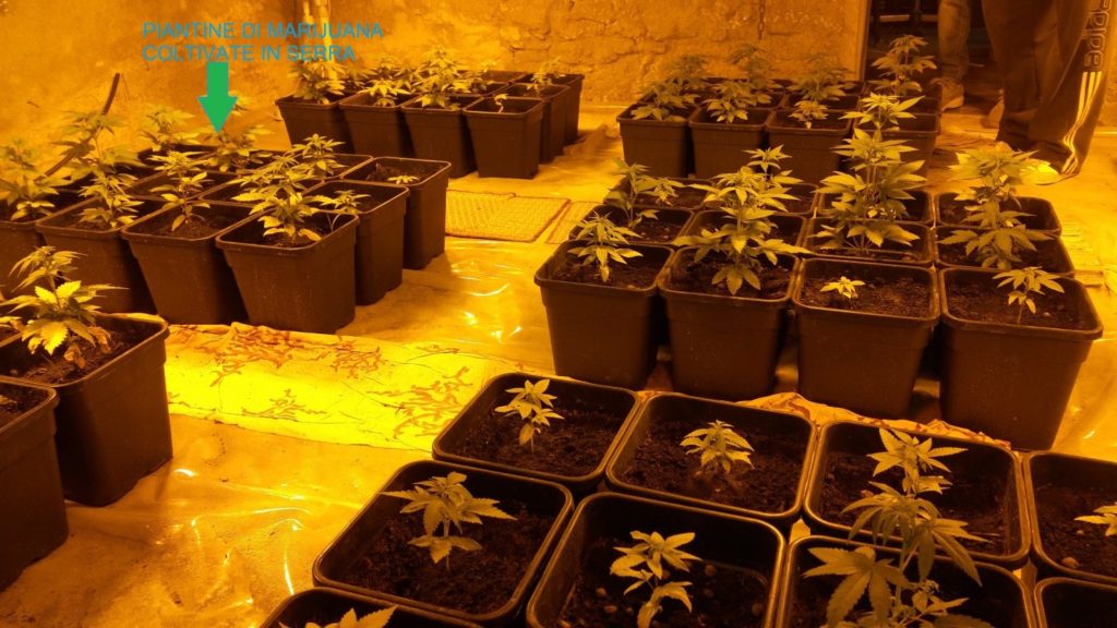 arresto marijuana reggio calabria (5)