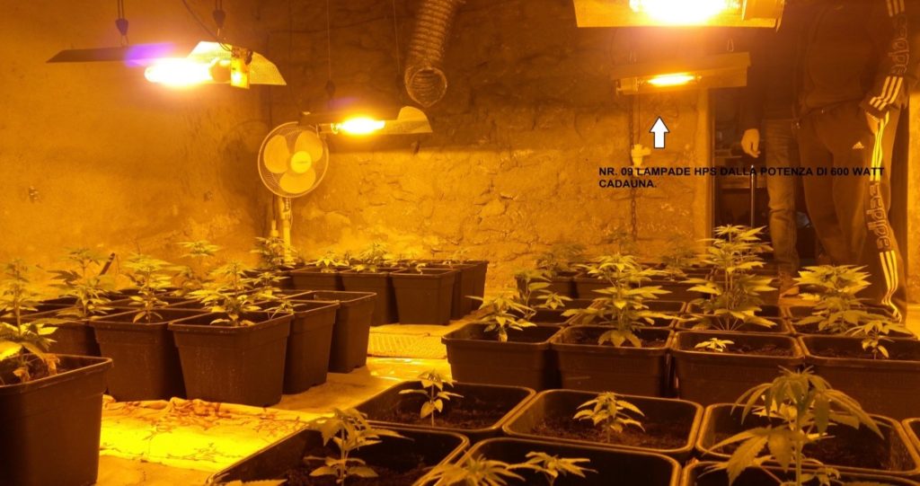 arresto marijuana reggio calabria (5)