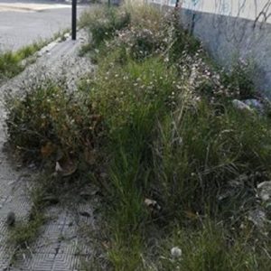 parcheggio morelli