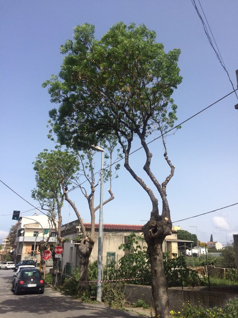 via delle rimembranze