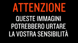 sensibilità