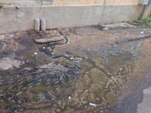 perdita acqua architettura