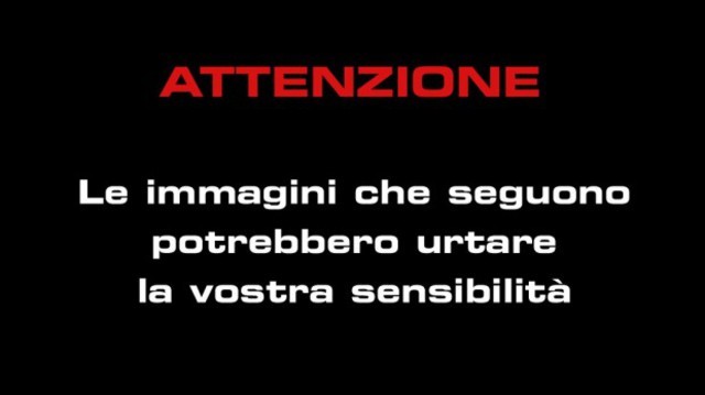 attenzione-le-immagini-potrebbero-urtare-la-vostra-sensibilità-640×359