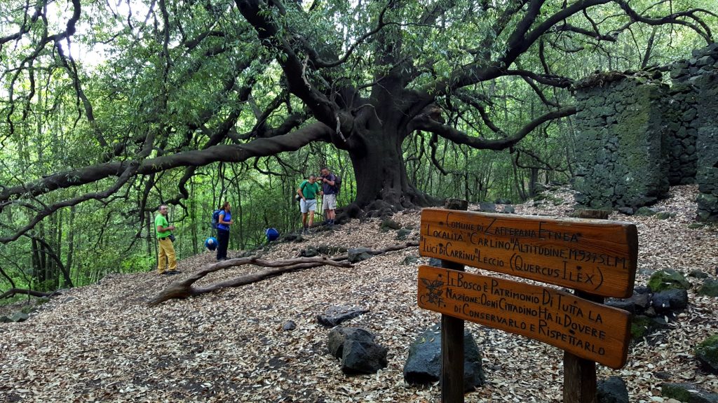 gente in aspromonte