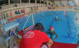 pallanuoto