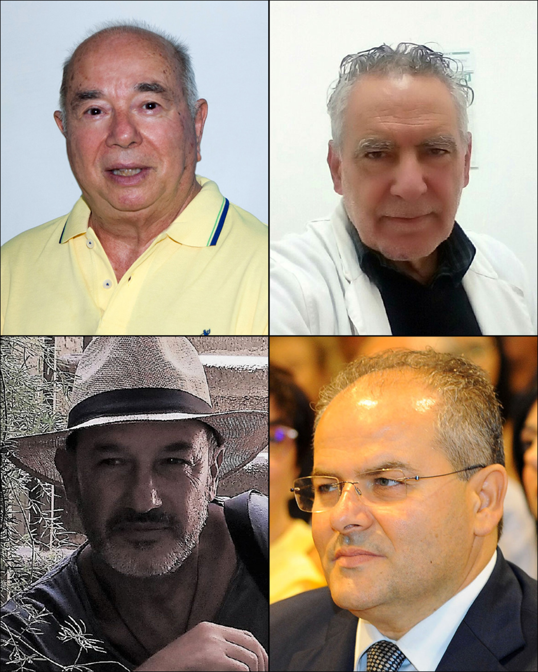 piperata, ritrovato, furchì, affidato