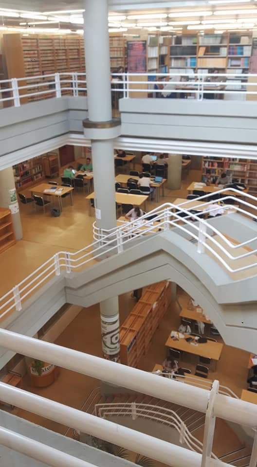 università degli studi mediterranea
