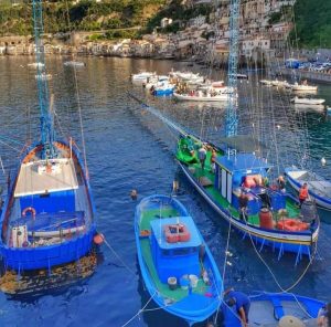 Foto passerelle per la caccia al pescespada