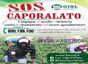 cisl capolarato