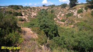 mazaro del vallo