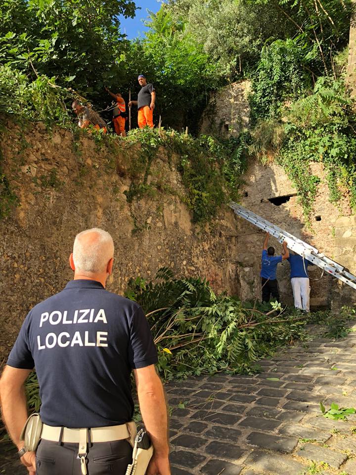 messa in sicurezza cosenza