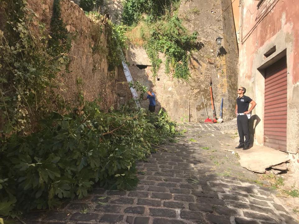 messa in sicurezza cosenza
