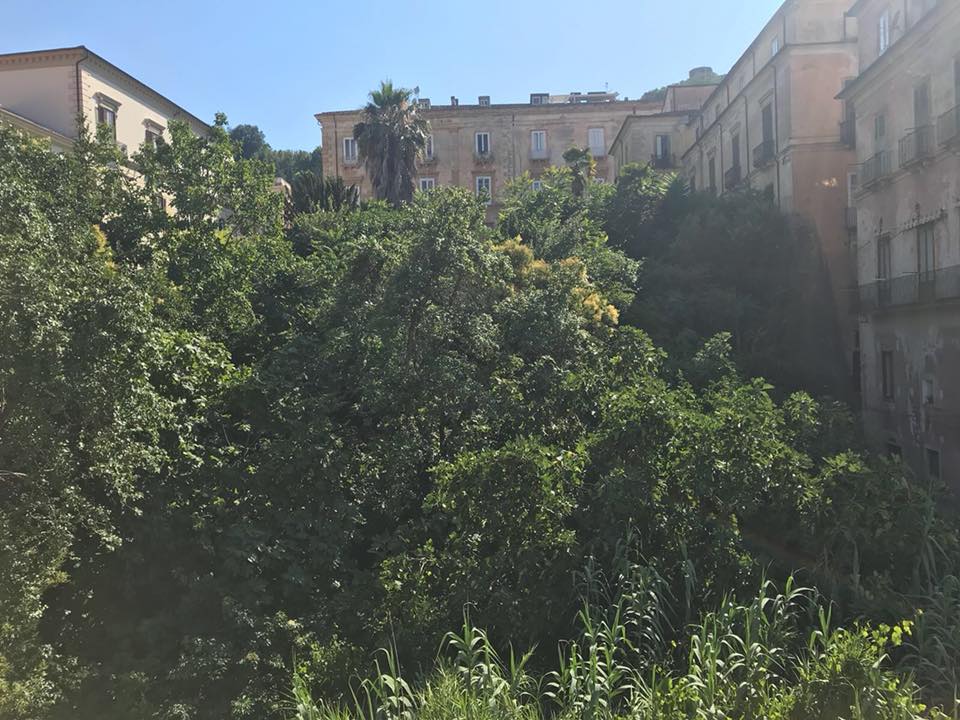 messa in sicurezza cosenza