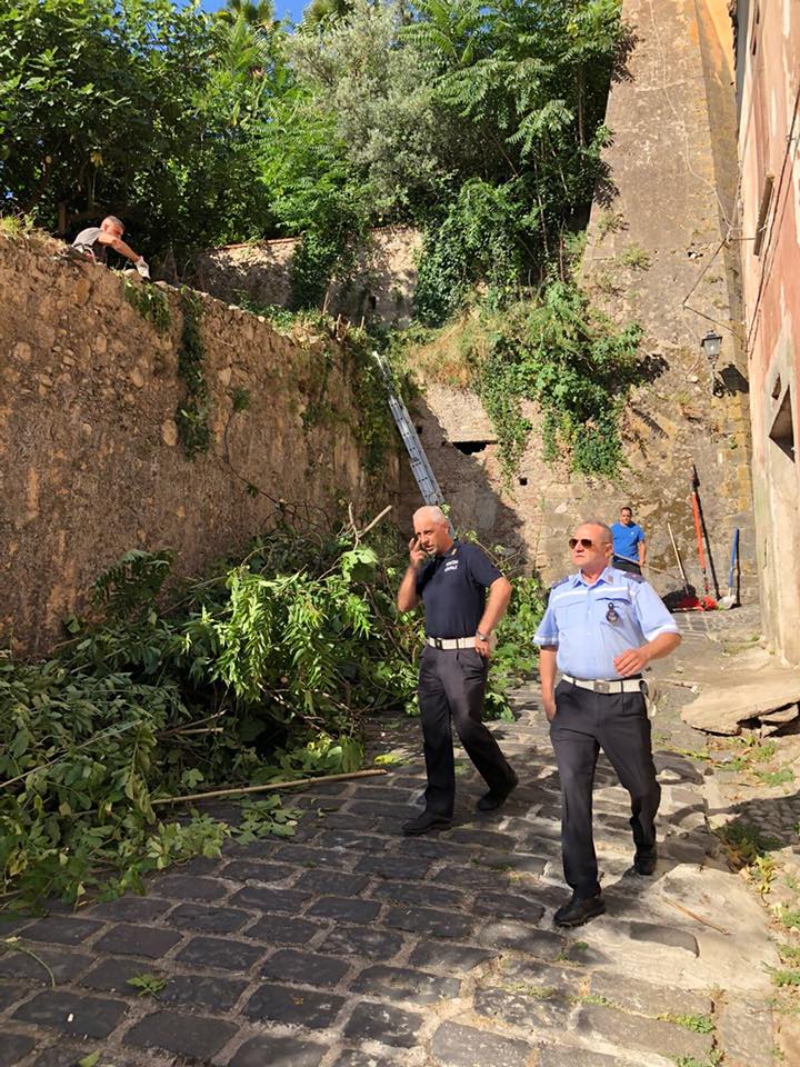 messa in sicurezza cosenza