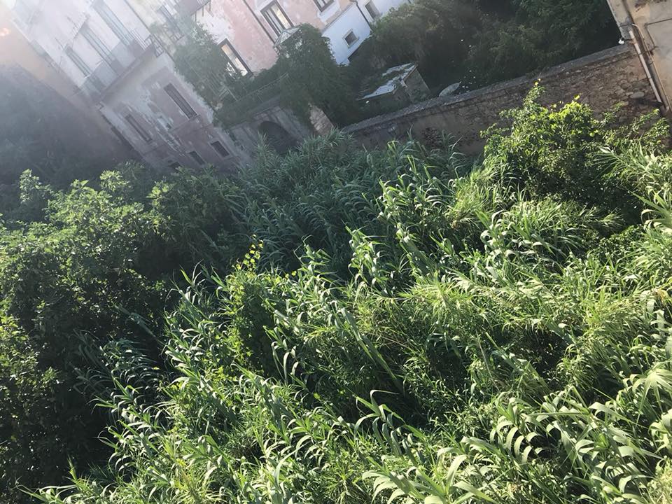 messa in sicurezza cosenza