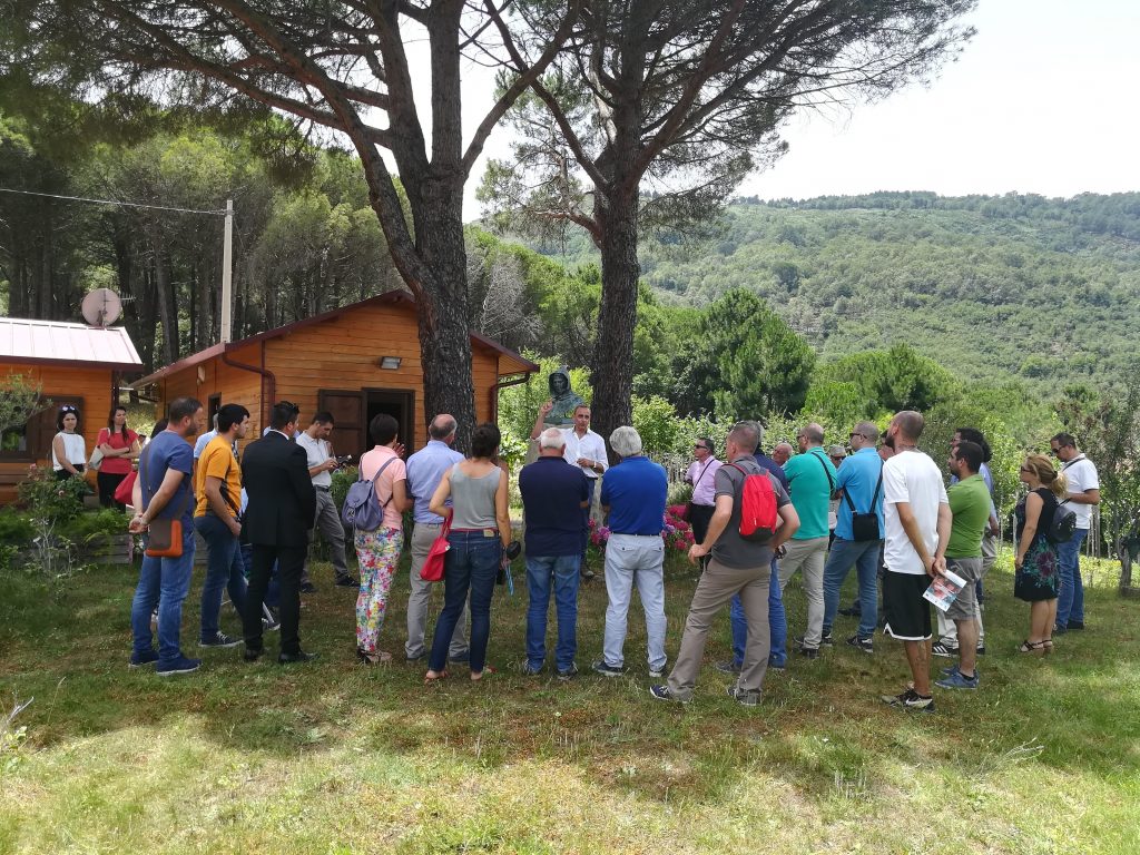 parco-nebrodi-scapellino