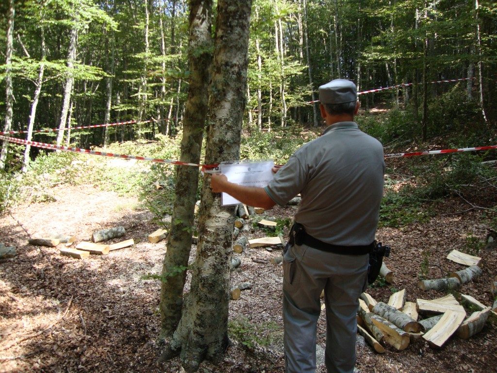 ARRESTI Serra