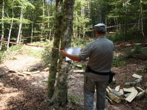 ARRESTI Serra