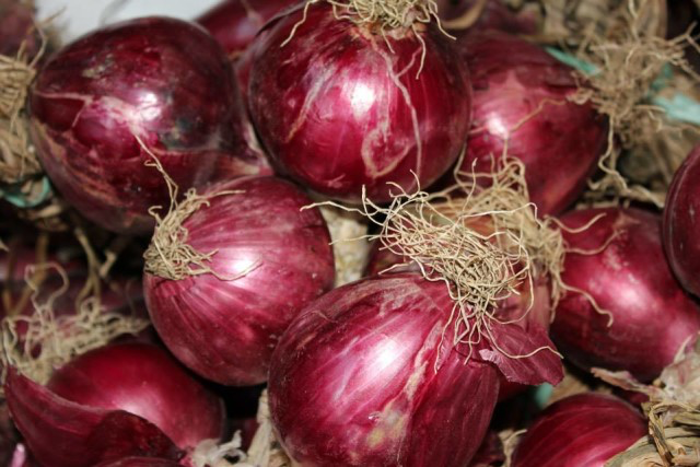 cipolla rossa tropea