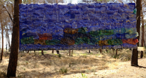 foto opera vincitrice concorso marine litter_ art