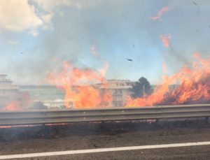 incendio strada statale