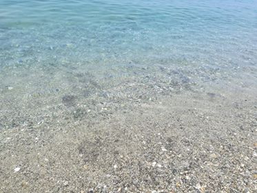 tonnara palmi