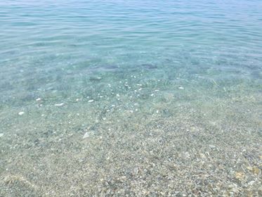 tonnara palmi