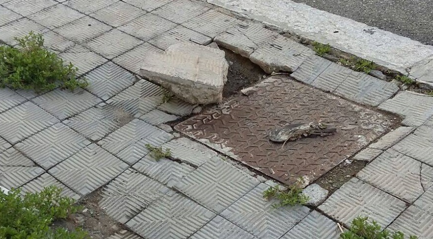 via pola