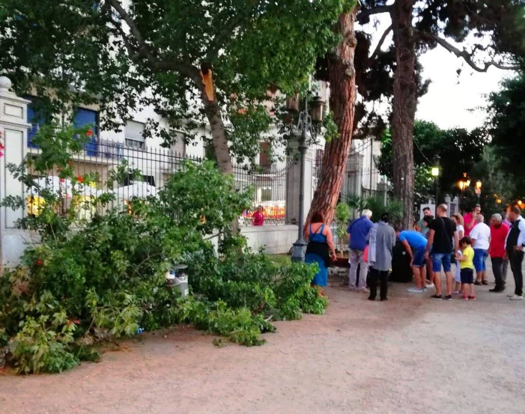albero villa comunale reggio calabria