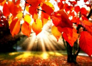 autunno