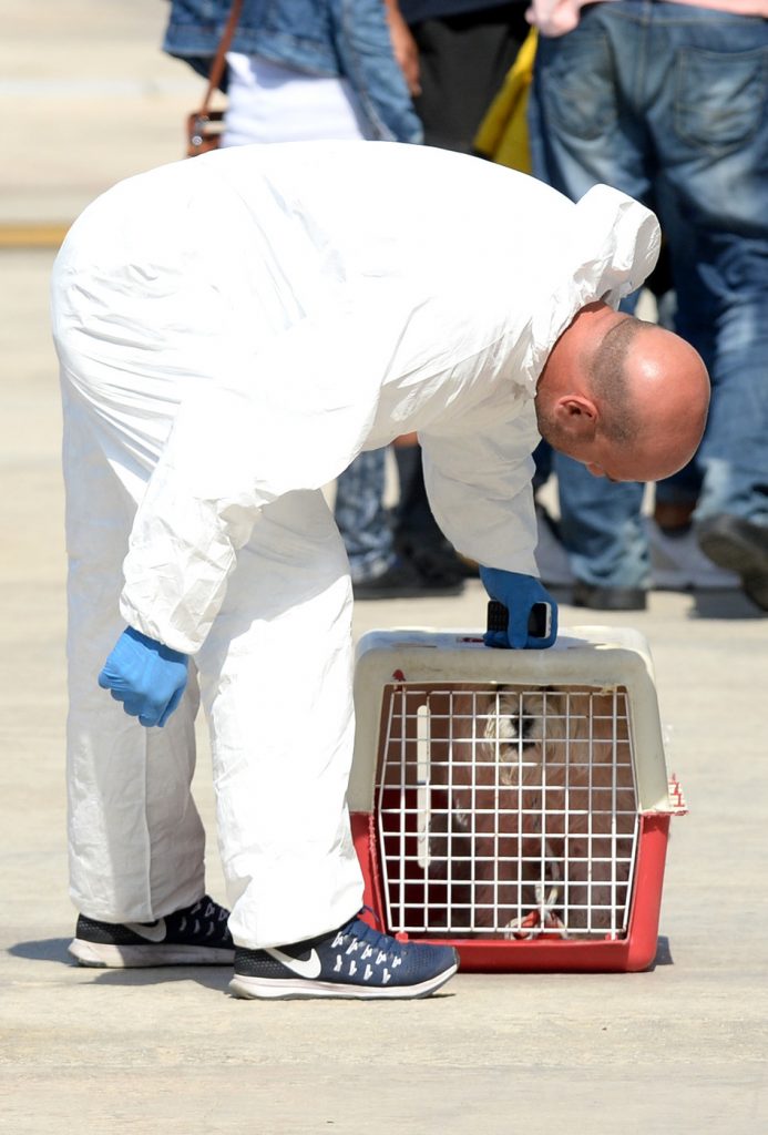 sbarco migranti malta