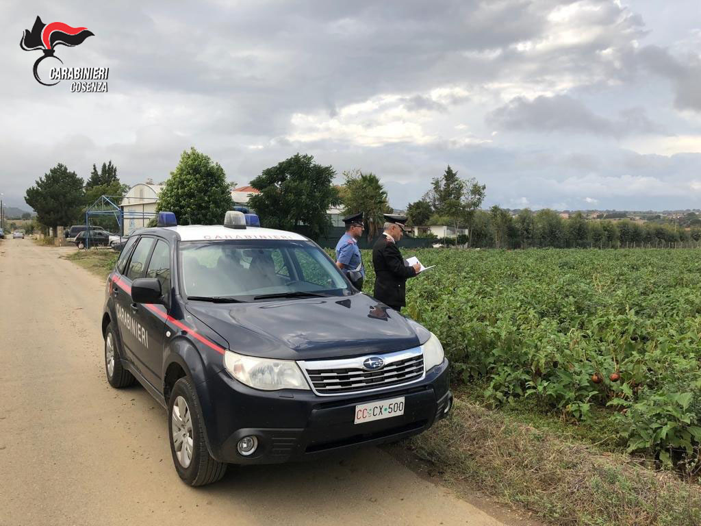 carabinieri cosenza