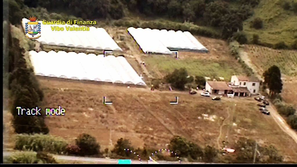 Piantagione marijuana Pizzo VV