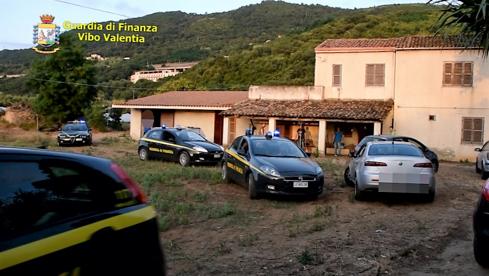 Piantagione marijuana Pizzo VV