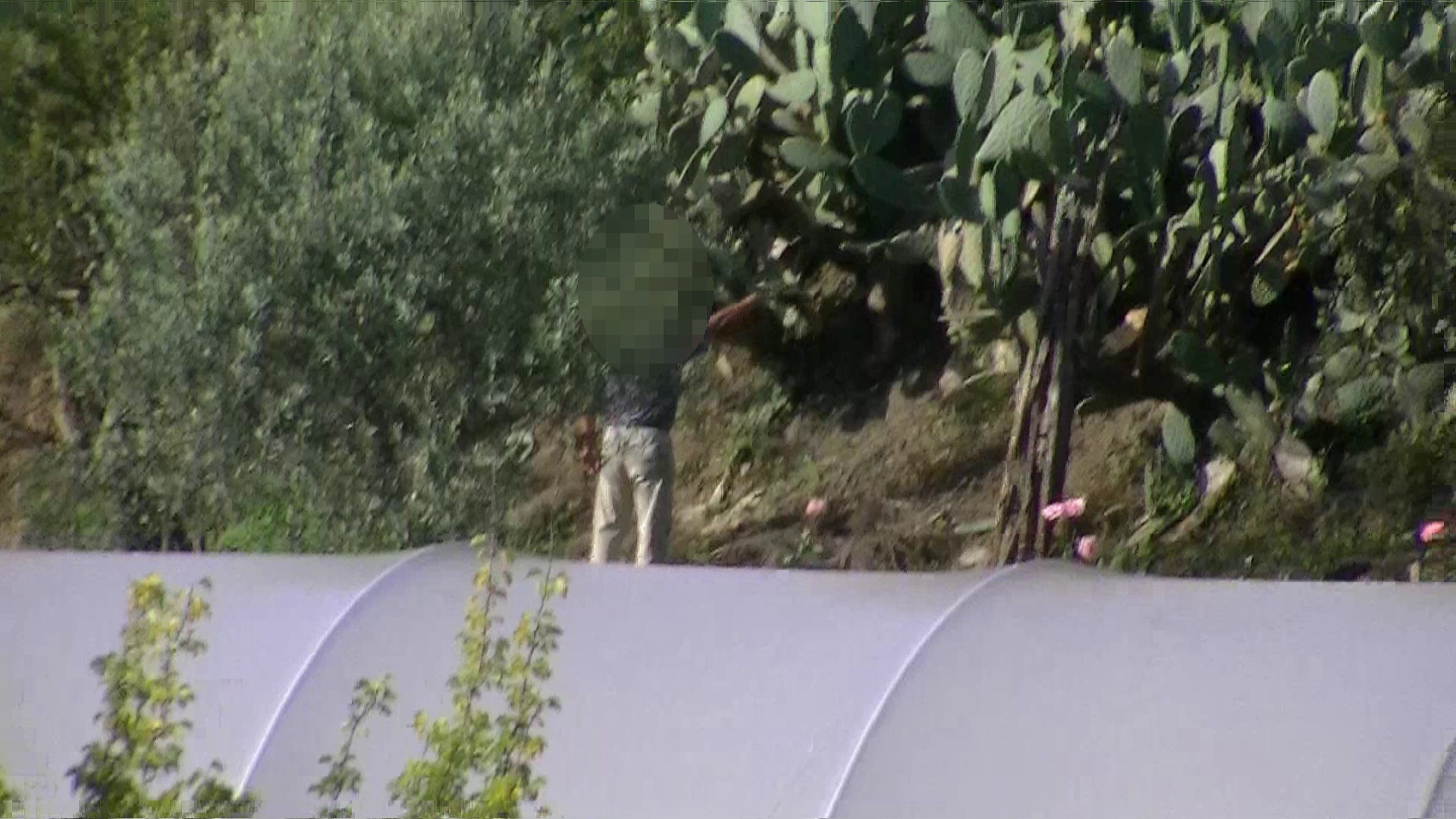 falso cieco Vibo Valentia