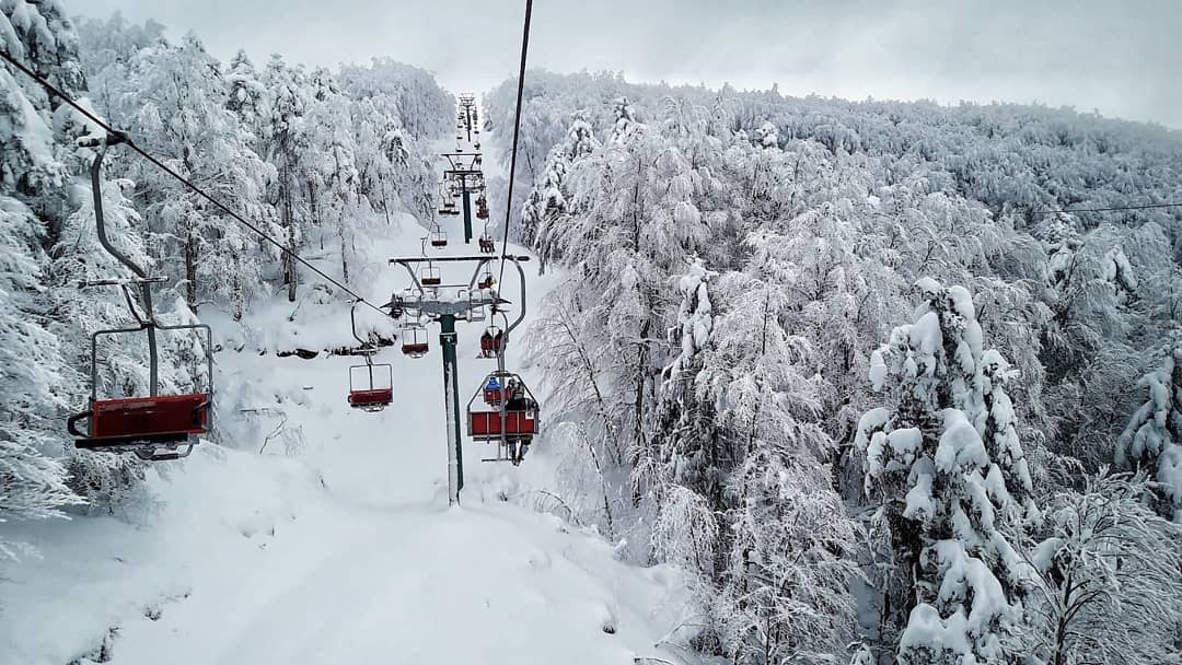 gambarie 16 gennaio 2019 (2)