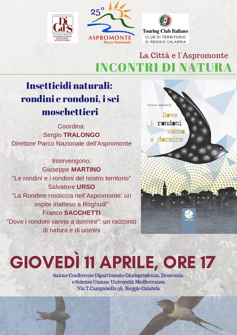 Rondini_rondoni_page-0001